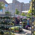 wochenmarkt.jpg Stände mit Blumen und Gemüse auf einem belebten Wochenmarkt, umgeben von Gebäuden und Besuchern.