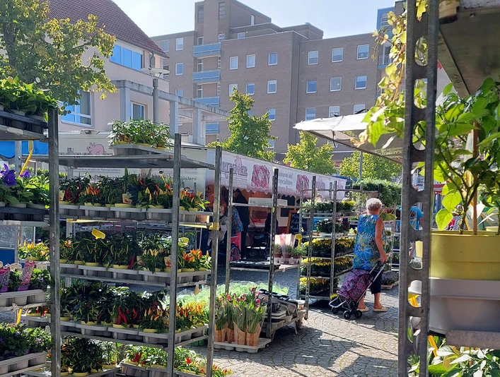 wochenmarkt.jpg Stände mit Blumen und Gemüse auf einem belebten Wochenmarkt, umgeben von Gebäuden und Besuchern.