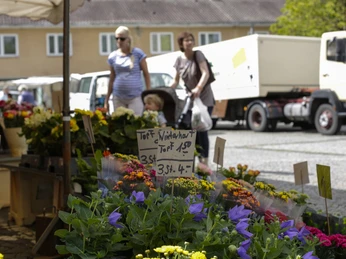 20130719hs0270.jpg Ein belebter Marktplatz mit bunten Blumenständen und Passanten im Hintergrund an einem sonnigen Tag.
