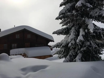 Weisshorn mit Sonne und Nebel