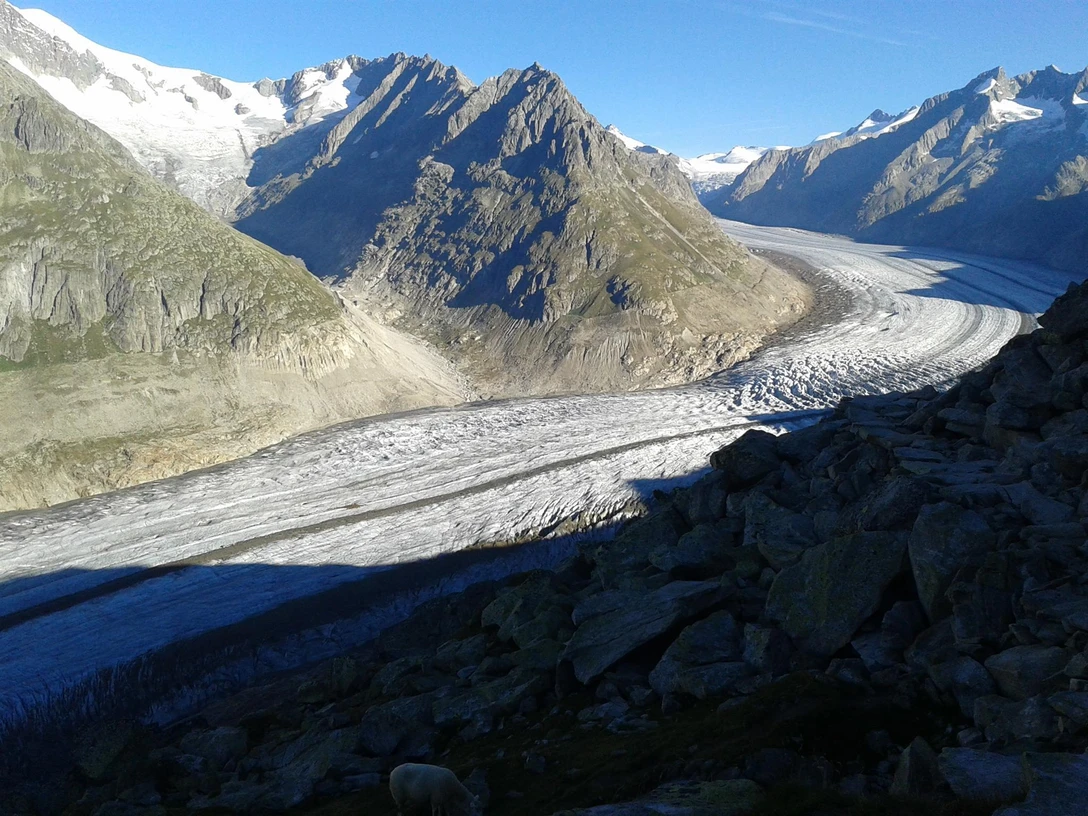Aletschgletscher