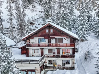 Adler Drohne Winter mittel