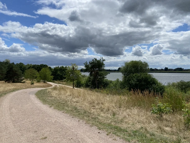 Blick vom Feldherrenhügel auf die Elbe