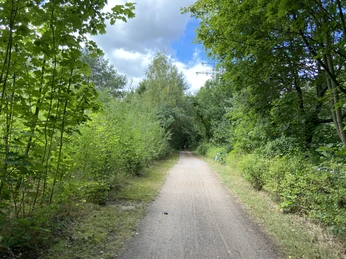 Elberad- und Wanderweg