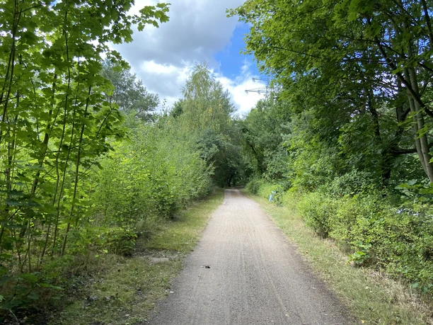 Elberad- und Wanderweg