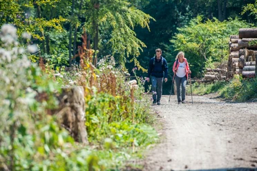 Geführte Wanderung Eine Frau und ein Mann wandern auf einem Waldweg, umgeben von Bäumen und geschnittenen Holzstämmen.