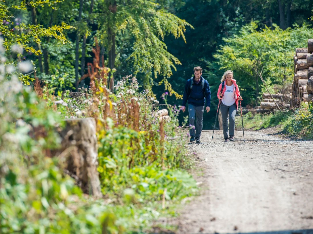 Geführte Wanderung Eine Frau und ein Mann wandern auf einem Waldweg, umgeben von Bäumen und geschnittenen Holzstämmen.