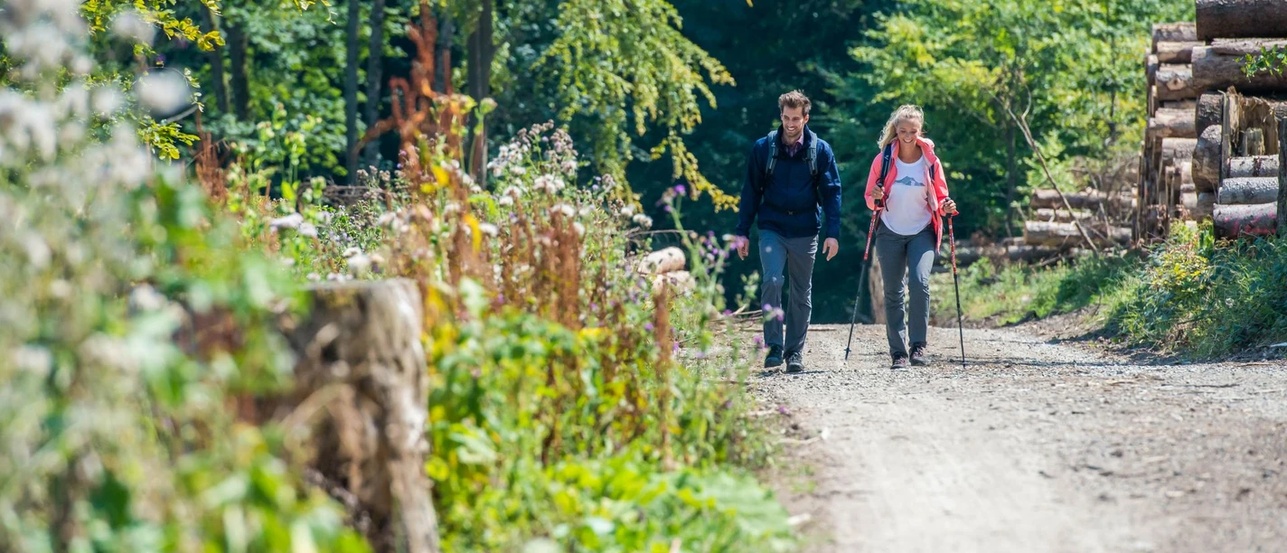 Geführte Wanderung Eine Frau und ein Mann wandern auf einem Waldweg, umgeben von Bäumen und geschnittenen Holzstämmen.