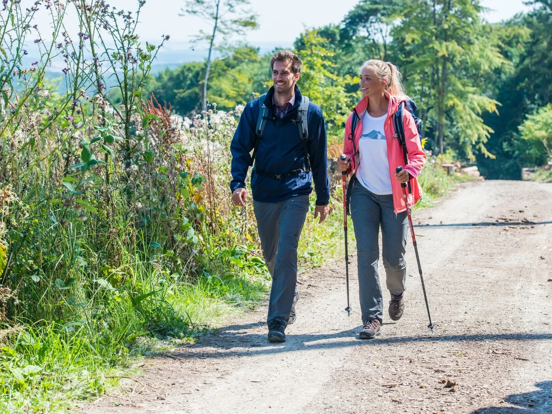 Geführte Wanderung Zwei fröhliche Wanderer spazieren auf einem sonnigen Weg durch die Natur, umgeben von grüner Vegetation.