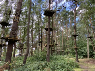 Hochseilgarten im Sommer