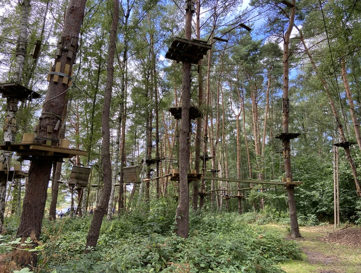 Hochseilgarten im Sommer