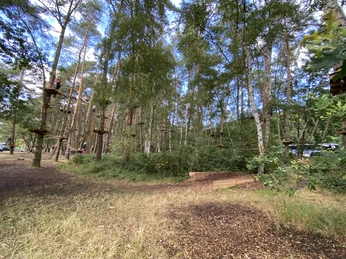 Hochseilgarten im Sommer