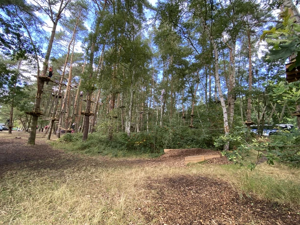 Hochseilgarten im Sommer