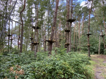 Hochseilgarten im Sommer