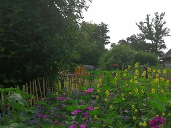 Garten rund um das Campingfass auf dem Milchschafhof Brünjes