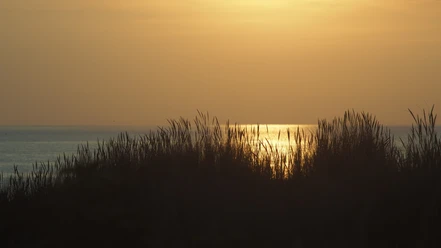 Strandspaziergang-Juist.jpg Strandspaziergang-Juist