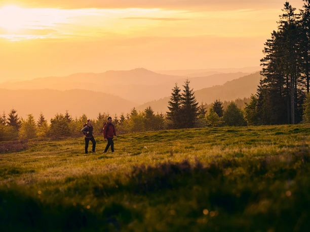 Zwei Wandernde in der Abendsonne in der Niedersfelder Hochheide auf dem Rothaarsteig