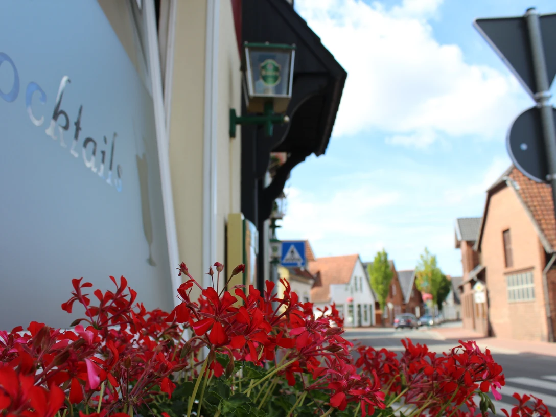 Rote Blumen im Vordergrund, eine Straße und Gebäude im Hintergrund unter einem klaren Himmel.Red flowers in the foreground, a street and buildings in the background under a clear sky.Røde blomster i forgrunden, en gade og bygninger i baggrunden under en klar himmel.Rode bloemen op de voorgrond, een straat en gebouwen op de achtergrond onder een heldere hemel.