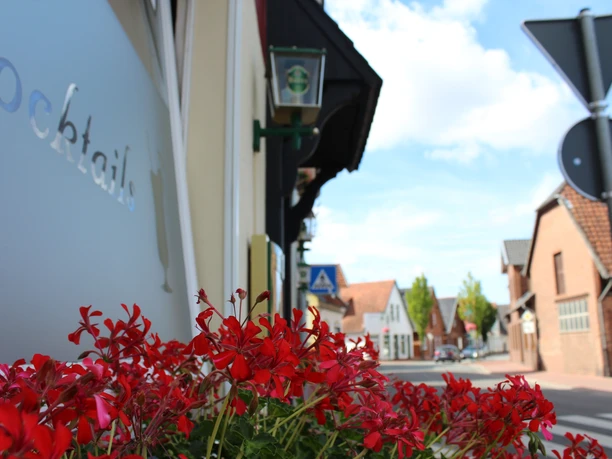 Red flowers in the foreground, a street and buildings in the background under a clear sky.