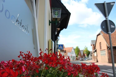 Hotel Ristorante Il Gabbiano, Uchte Rote Blumen im Vordergrund, eine Straße und Gebäude im Hintergrund unter einem klaren Himmel.