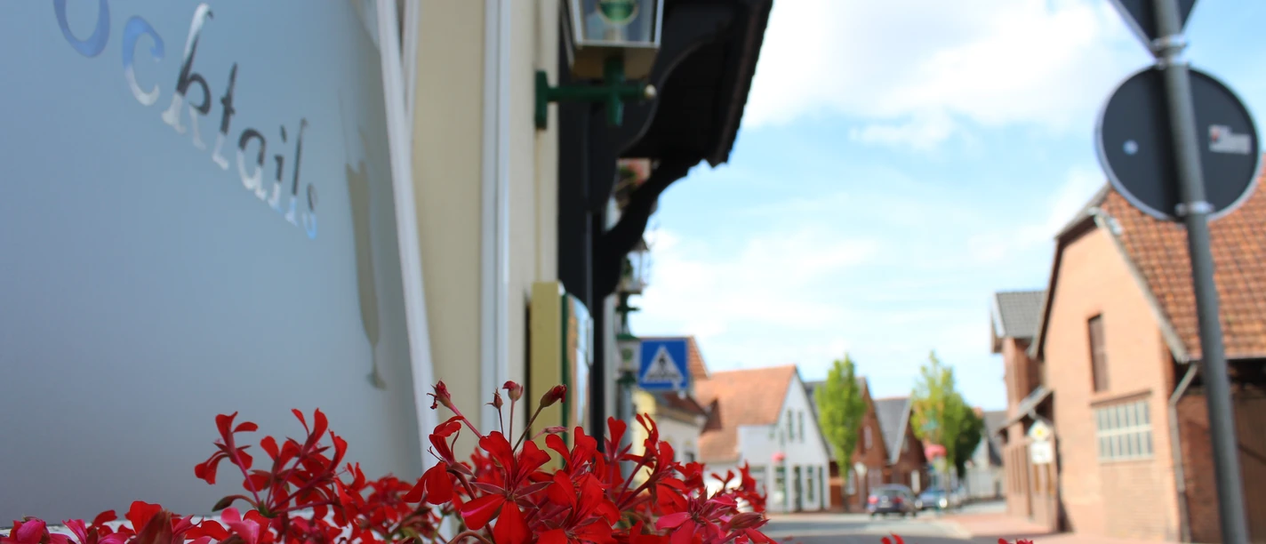 Hotel Ristorante Il Gabbiano, Uchte Rote Blumen im Vordergrund, eine Straße und Gebäude im Hintergrund unter einem klaren Himmel.