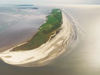 Kalfamer-Juist.jpg Kalfamer-Juist