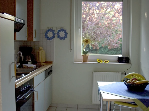 23.jpg Eine schmale Küche mit Tisch, Blumen auf der Fensterbank und Herbstbaumblick durch das Fenster.