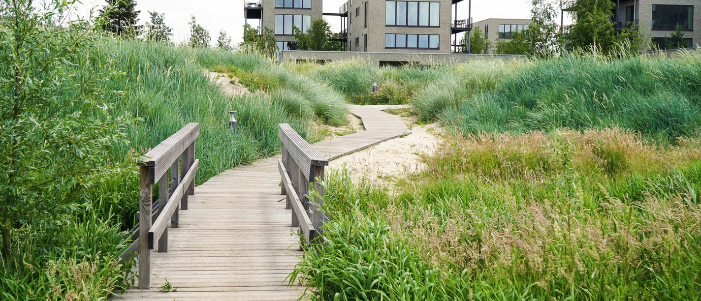 Steg zum Strand Marissa Ferienpark