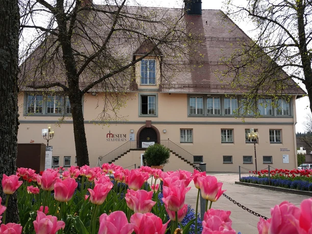 2016_Stadthaus mit Tulpen 2