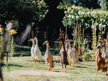 Social Media Dörte_Juli 2022 (49).jpeg