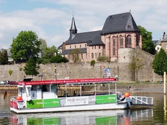 Mainfähre Höchst