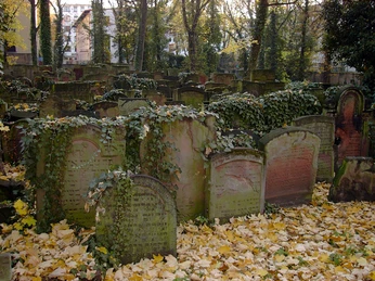 Museum Judengasse Friedhof Battonnstraße
