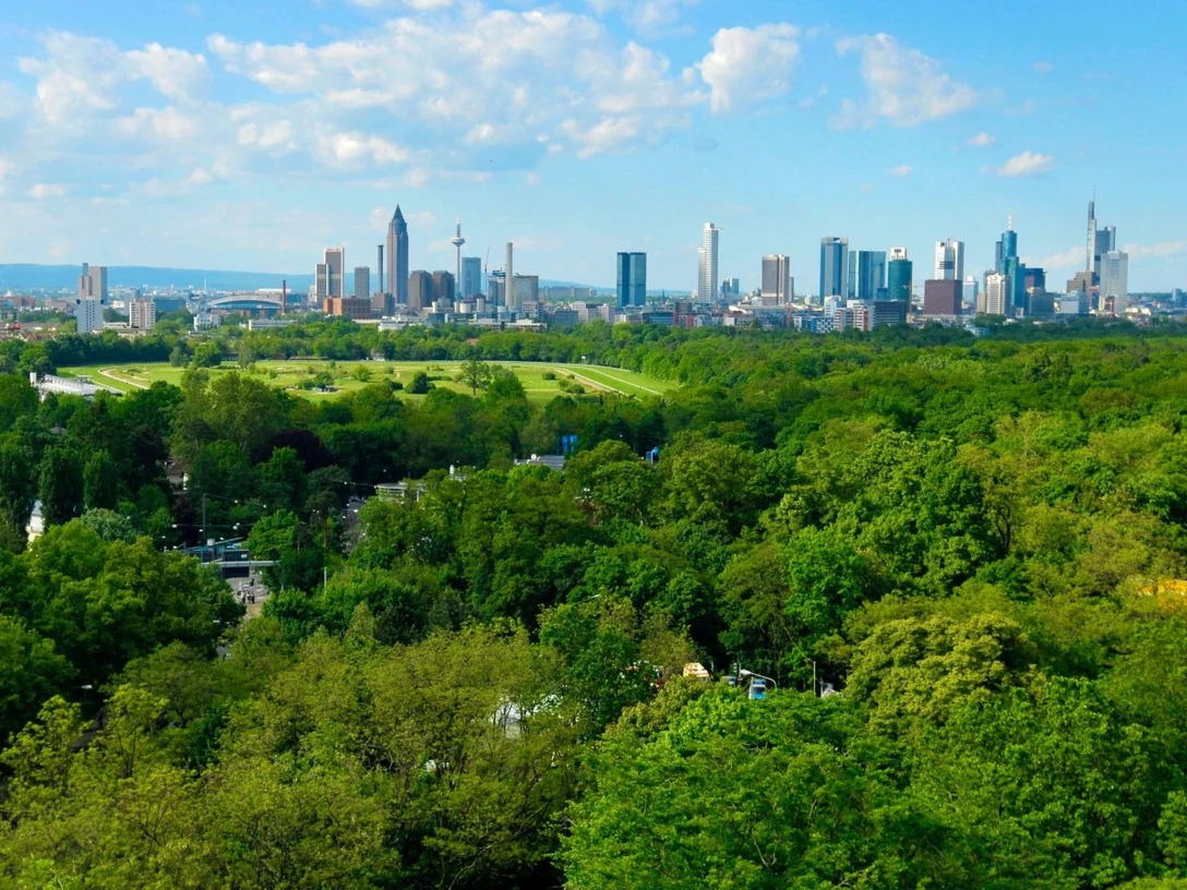 Skyline Blick auf Frankfurt grün