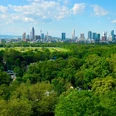 Skyline Blick auf Frankfurt grün