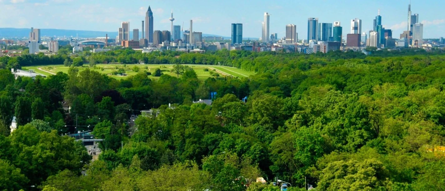 Skyline Blick auf Frankfurt grün