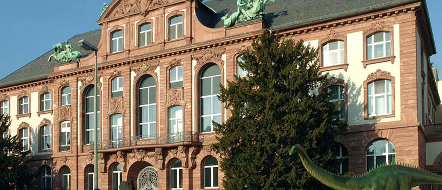 Senckenberg Außenansicht Haus Gebäude außen
