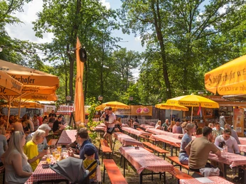 Wäldchestag Frankfurt DSC 3016 visitfrankfurt Holger Ullmann