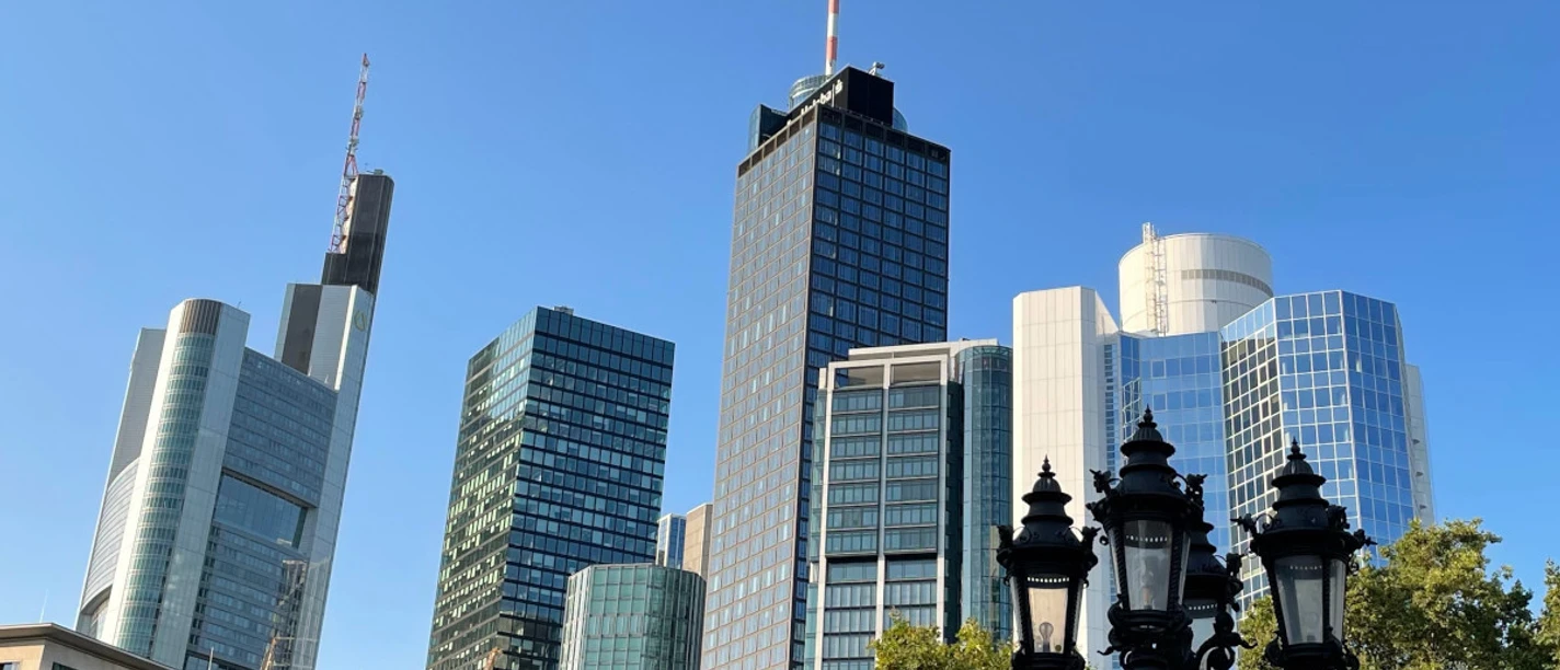 Stadtfuehrung Zwischen Palmen und Skyline
