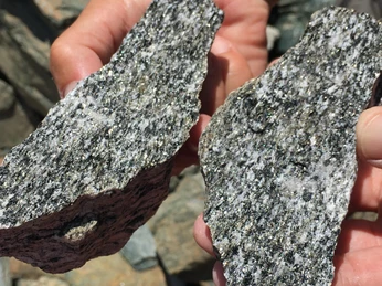 Wanderleiterin Elisabeth Floh Müller