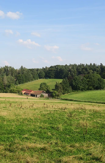 Stellerskuppenweg 03