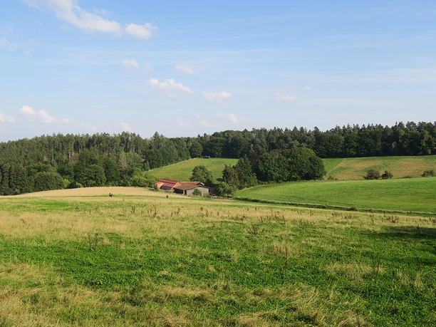 Stellerskuppenweg 03