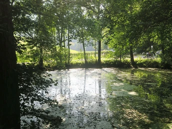 Stellerskuppenweg 01