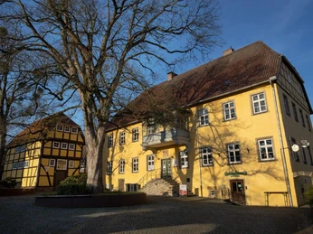 Lübbecke Burgmannshof Historischer Burgmannshof mit gelbem Fachwerkgebäude, prächtigem Baum im ruhigen Innenhof, blauer Himmel.