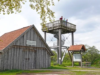Kapellenmoorgraben in Niederlangen, Aussichtsturm_ Informationshütte ©Naturpark Hümmling (17).jpg