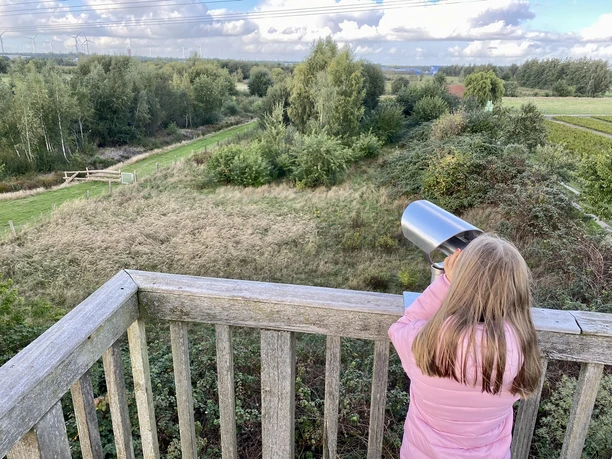 Kapellenmoorgraben, Niederlangen – Ausflug zum Aussichtsturm_Informationshütte ©Naturpark Moor-Veenland (26).jpeg Kind blickt vom Aussichtsturm über das Moorland Kapellenmoorgraben durch ein fest installiertes Fernglas