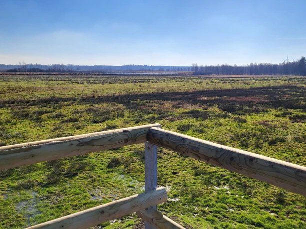 Theikenmeer-Runde, Werlte - Hümmling-Pfade, Beobachtungshügel Moorwiesen ©Naturpark Hümmling (4).jpg Blick vom hölzernen Aussichtspunkt über weite Moorwiesen mit Gräsern und fernen Baumreihen