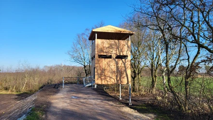 Theikenmeer-Runde, Werlte - Hümmling-Pfade, Bernhard-Grzimek-Turm ©Naturpark Hümmling (2).jpg Holzaussichtsturm am Waldrand mit Rampe, umgeben von kahlen Bäumen unter klarem blauen Himmel.