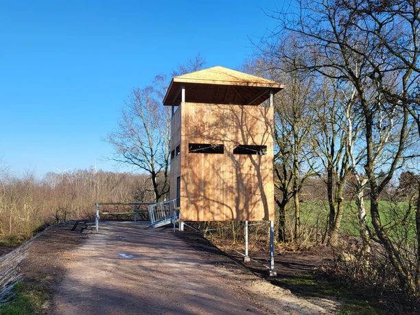 Theikenmeer-Runde, Werlte - Hümmling-Pfade, Bernhard-Grzimek-Turm ©Naturpark Hümmling (2).jpg Holzaussichtsturm am Waldrand mit Rampe, umgeben von kahlen Bäumen unter klarem blauen Himmel.