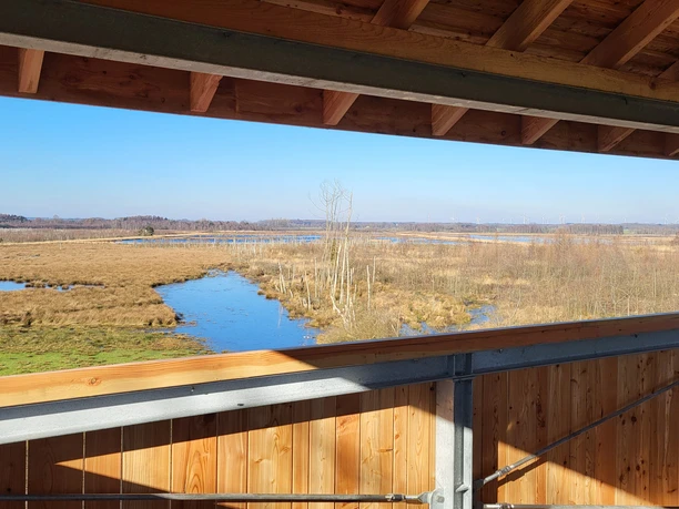 Theikenmeer-Runde, Werlte - Hümmling-Pfade, Bernhard-Grzimek-Turm ©Naturpark Hümmling (6).jpg Blick vom Bernhard-Grzimek-Turm über die weiten Moor- und Wasserflächen des Theikenmeers.