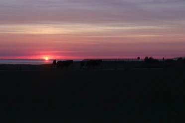Sonnenuntergang auf Juist.JPG Sonnenuntergang auf Juist